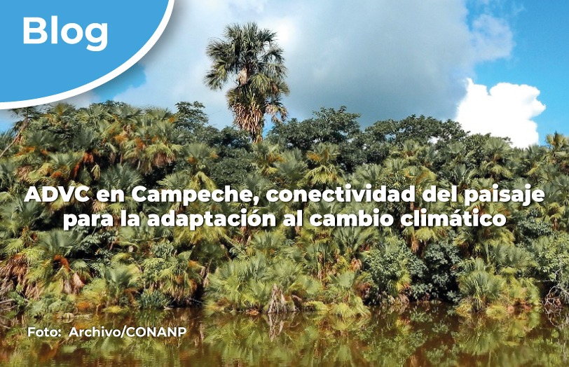 ADVC en Campeche, conectividad del paisaje para la adaptación al cambio climático.