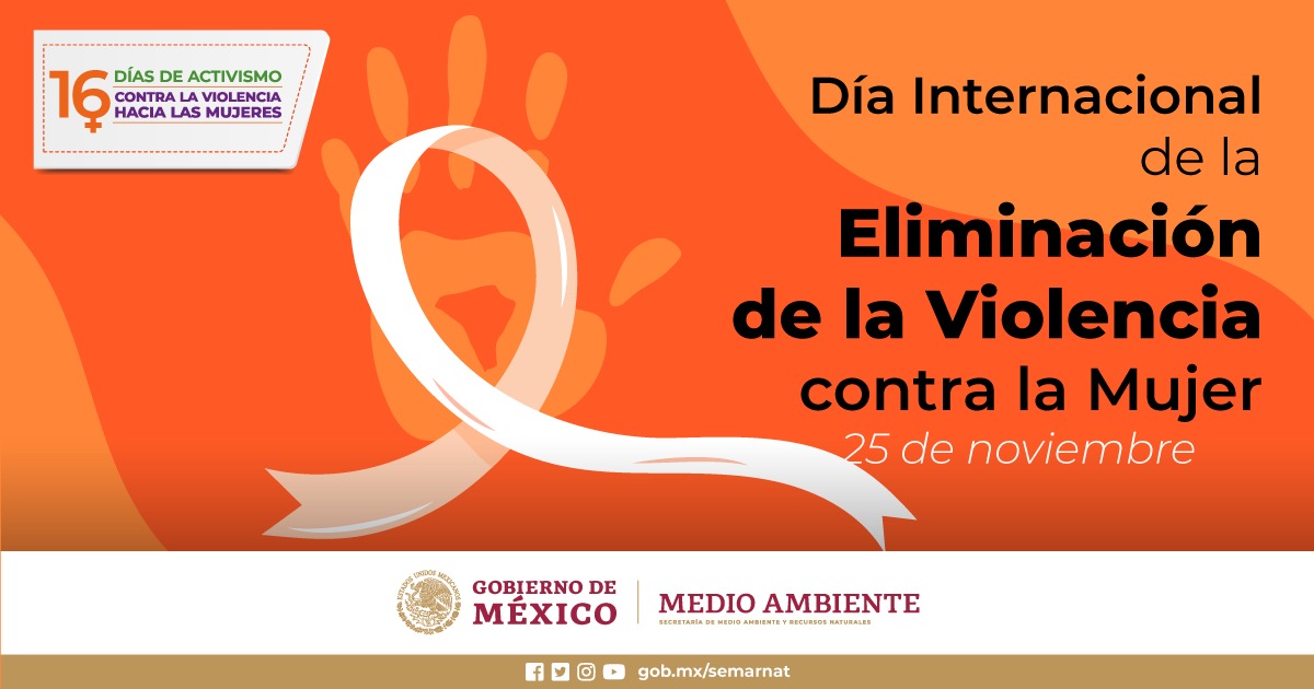 Día Internacional de la Eliminación de la Violencia contra la Mujer 2020 |  Secretaría de Medio Ambiente y Recursos Naturales | Gobierno | gob.mx