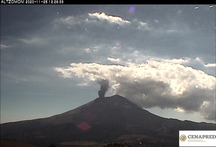 En las últimas 24 horas, mediante los sistemas de monitoreo del volcán Popocatépetl se identificaron 203 exhalaciones y 93 minutos de tremor. 