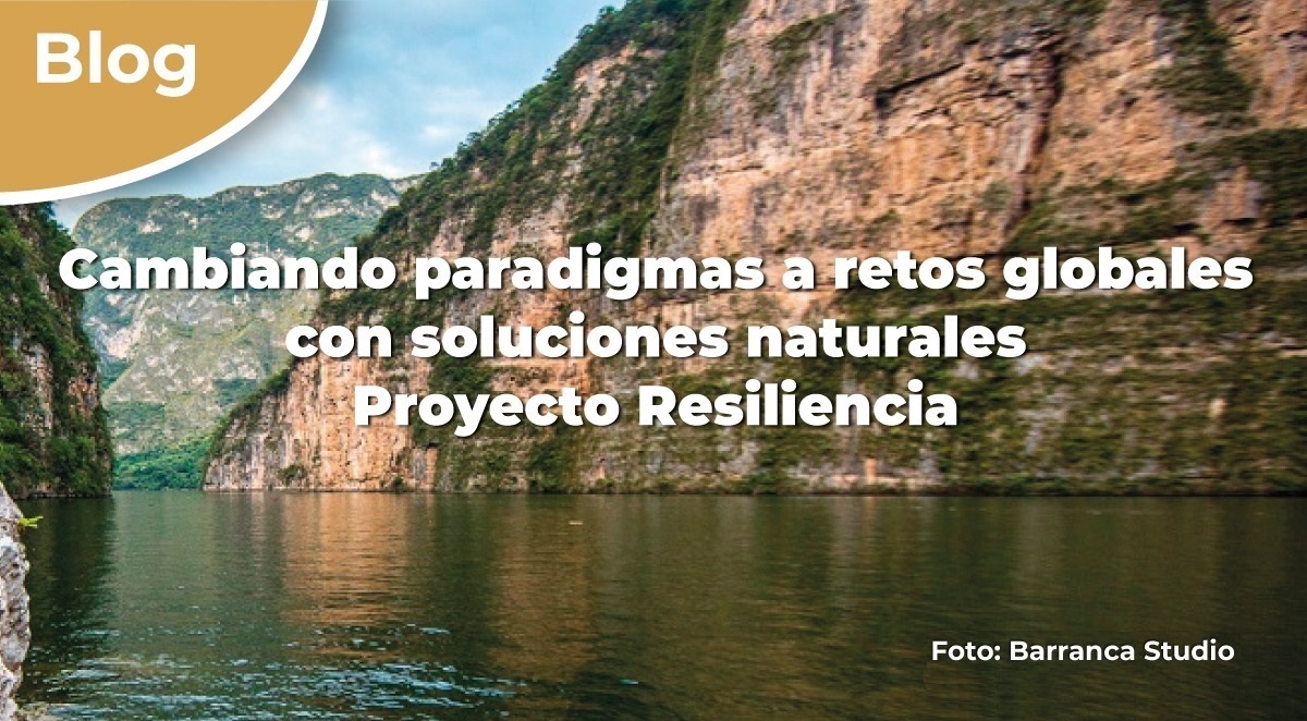 Cambiando paradigmas a retos globales con soluciones naturales. Proyecto Resiliencia.