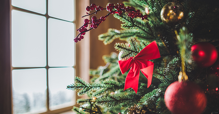 Recicla tu árbol de navidad