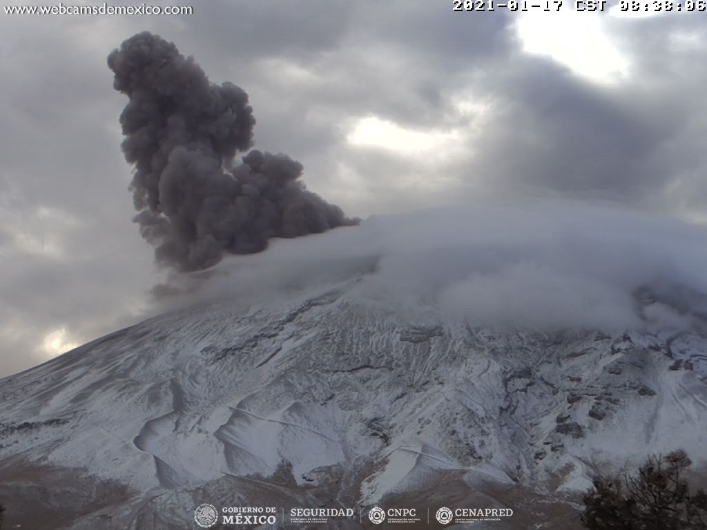 En las últimas 24 horas, mediante los sistemas de monitoreo del volcán Popocatépetl se identificaron 16 exhalaciones y 981 minutos de tremor, acompañados por emisiones de vapor de agua, gases volcánicos y bajas cantidades de ceniza.