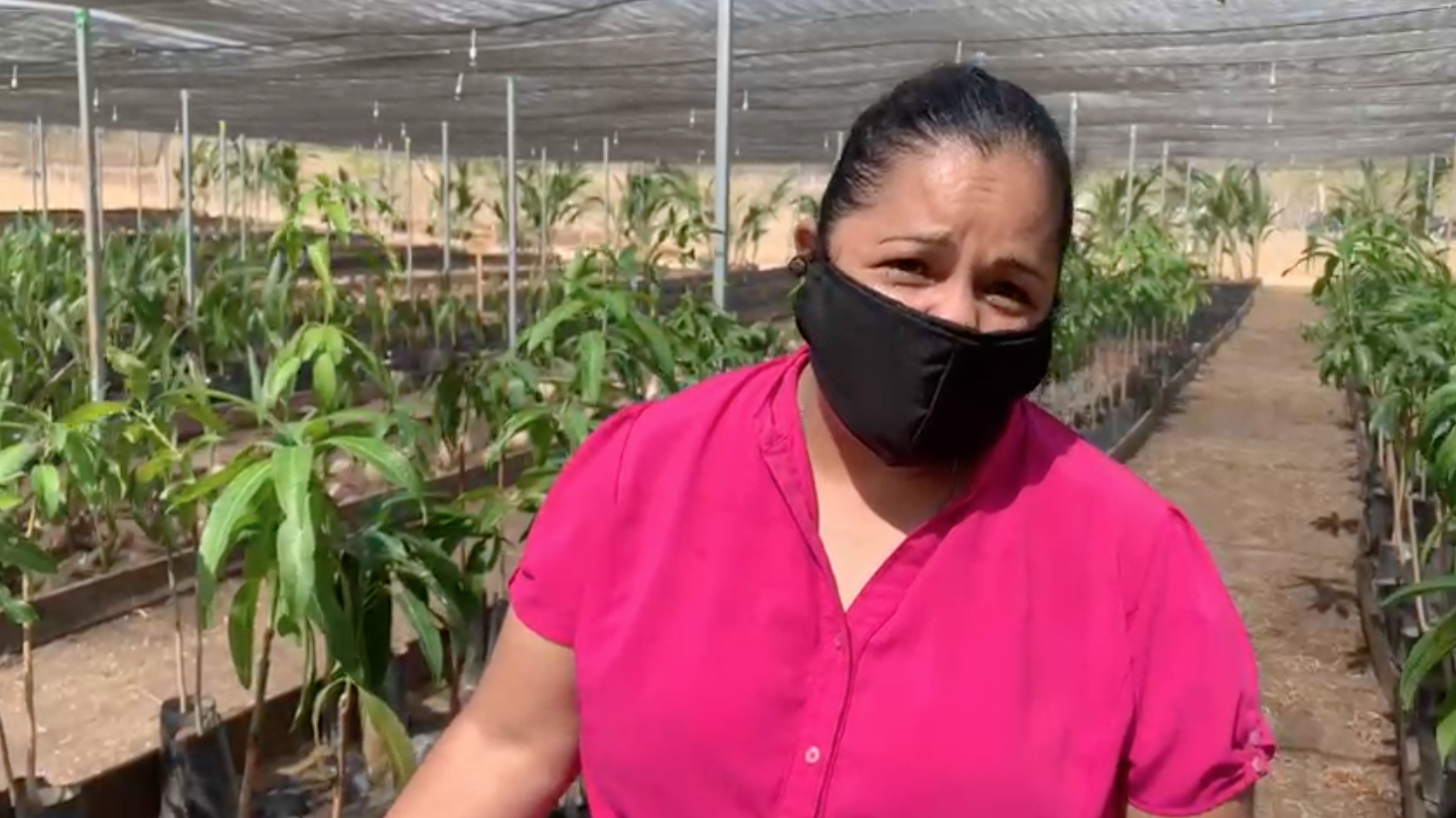 Ana Donaji, sembradora de Petatlán, Guerrero