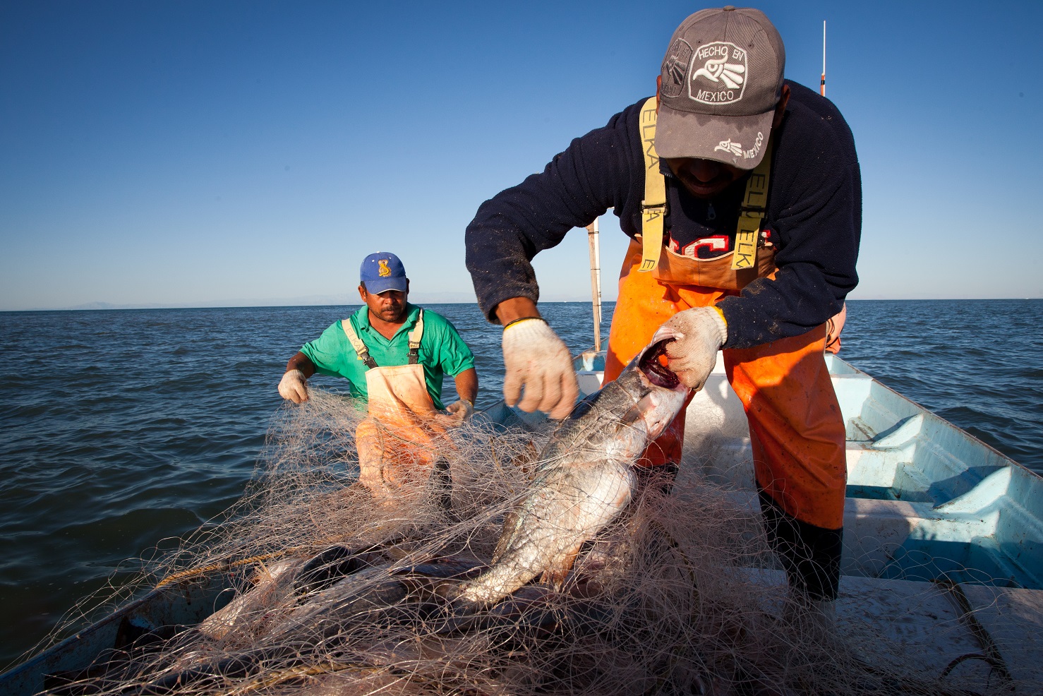 Estima el Programa Nacional de Pesca y Acuacultura 20202024 lograr