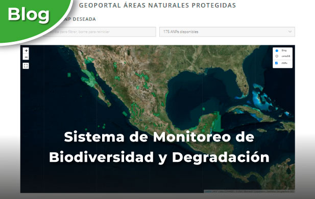 Sistema de Monitoreo de Biodiversidad y Degradación.