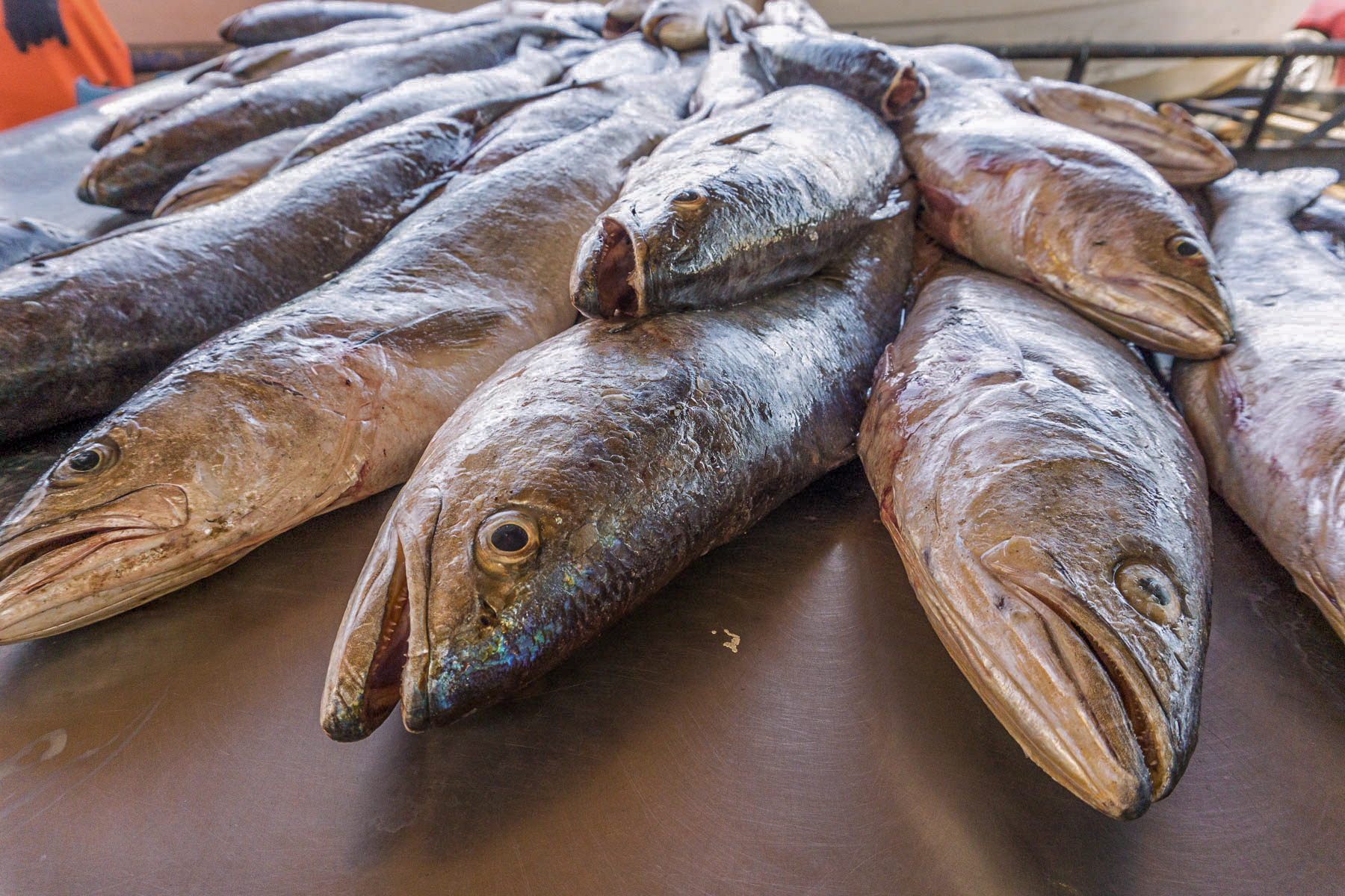 Garantizado el abasto de pescados y mariscos para la temporada de Cuaresma y Semana Santa 2021: Agricultura