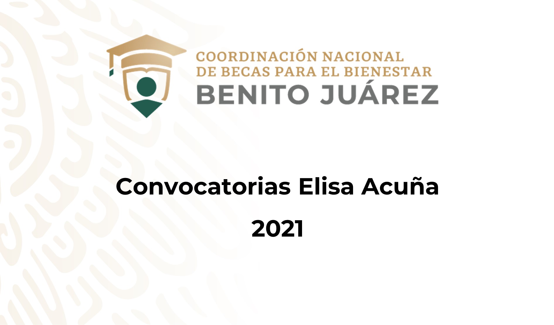 Convocatorias Elisa Acuña 2021