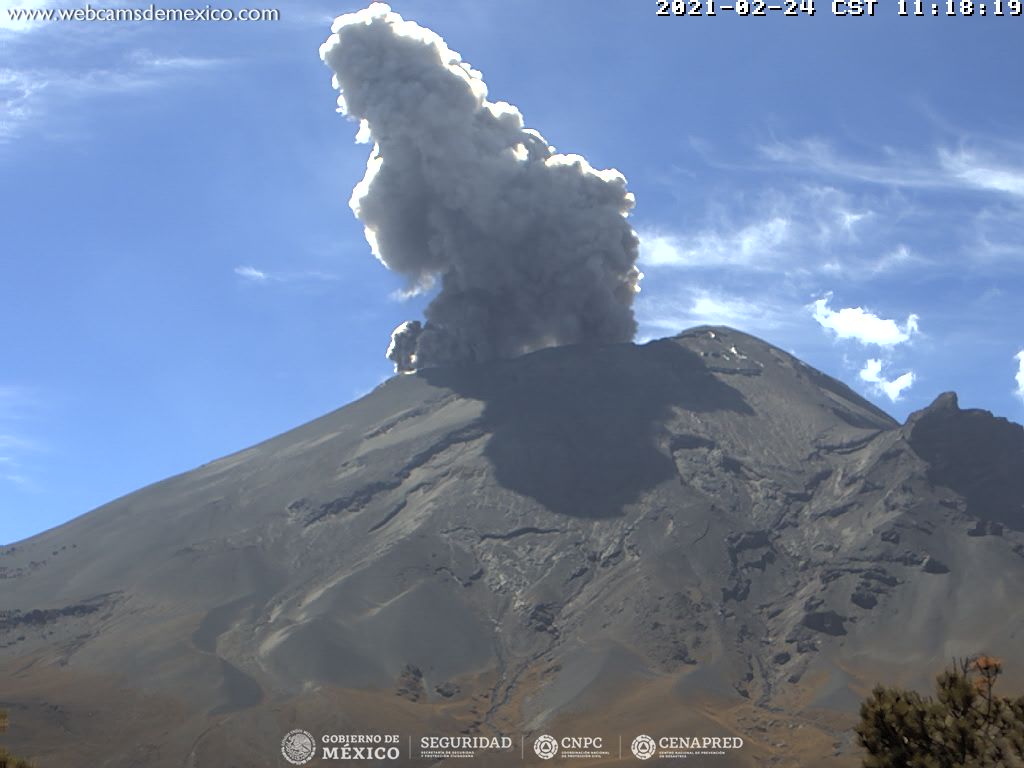 En las últimas 24 horas, mediante los sistemas de monitoreo del volcán Popocatépetl se identificaron 78 exhalaciones y 304 minutos de tremor.