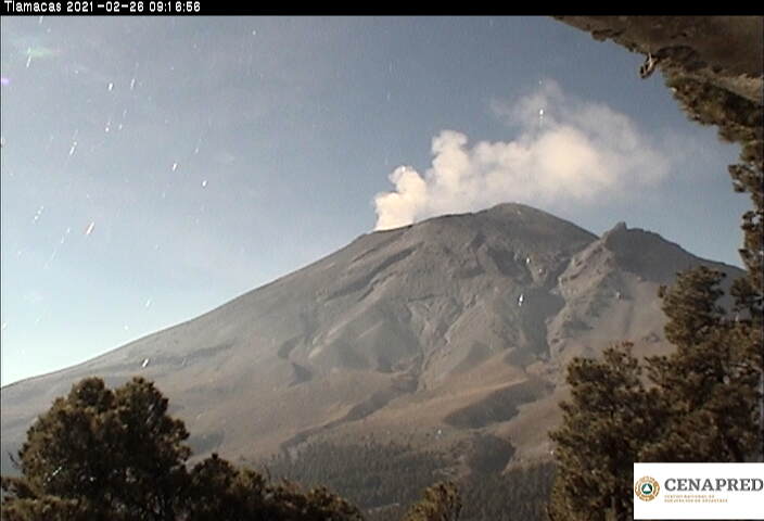 En las últimas 24 horas, mediante los sistemas de monitoreo del volcán Popocatépetl se identificaron 92 exhalaciones y 311 minutos de tremor, acompañados por emisiones de vapor de agua, gases volcánicos y ligeras cantidades de ceniza.