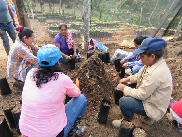 Mujeres preparando la tierra para plantar en Viveros