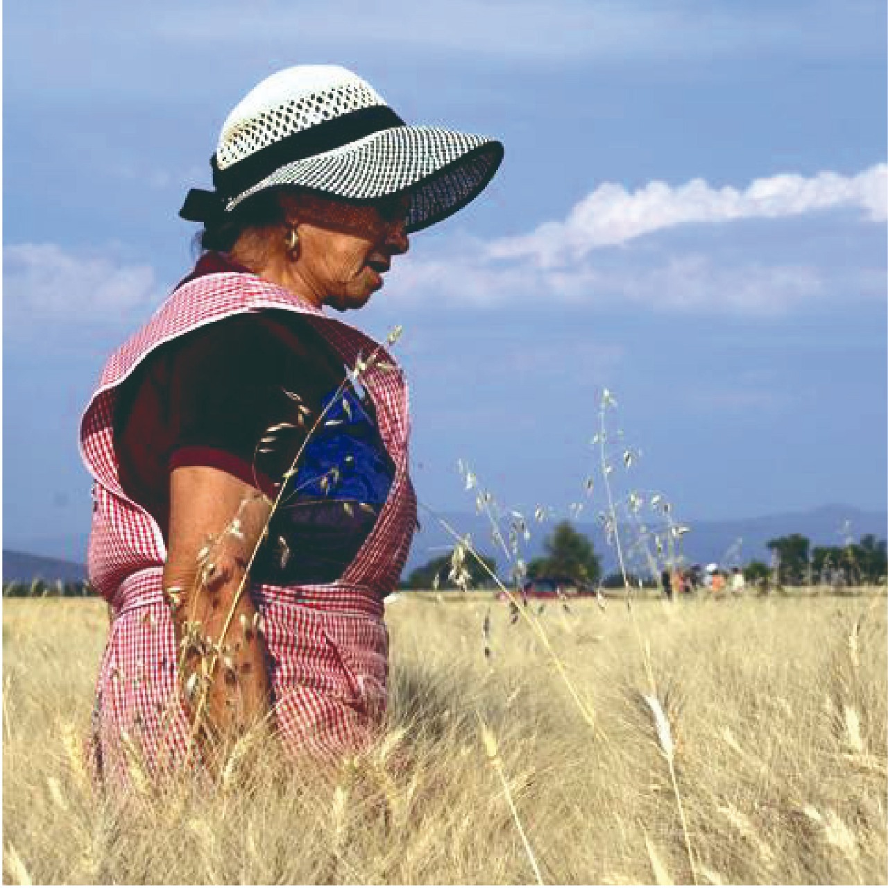 En este 8 de marzo, Día internacional de la mujer, resaltamos el trabajo de las mujeres en el sector agrícola de nuestro país.