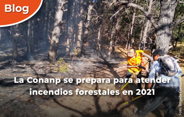 La Conanp se prepara para atender incendios forestales en 2021.