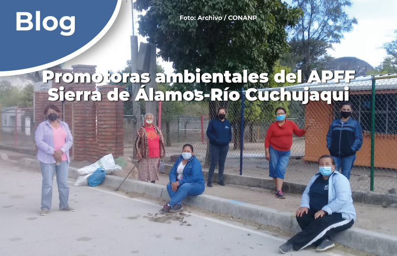 Promotoras ambientales del APFF Sierra de Álamos-Río Cuchujaqui.