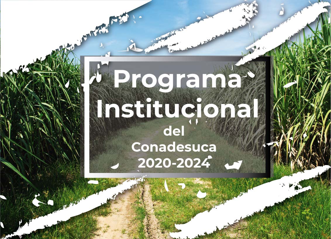 Programa Institucional del CONADESUCA 2020-2024
