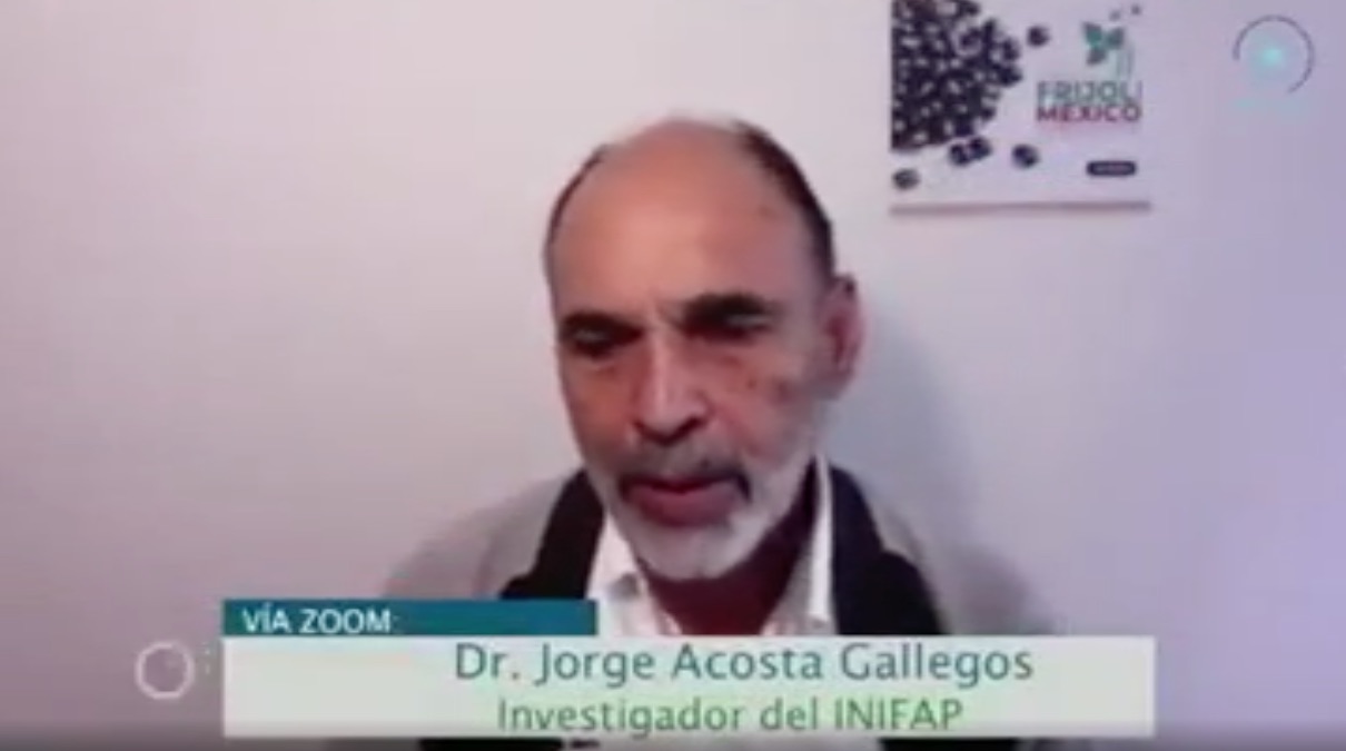 Dr. Jorge Alberto Acosta Gallegos