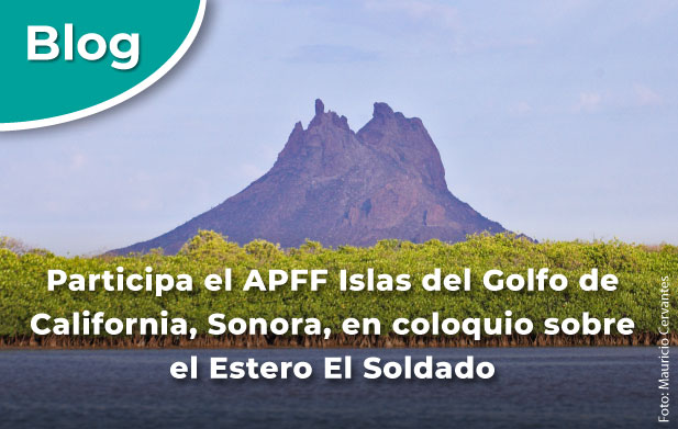 Participa el APFF Islas del Golfo de California, Sonora, en coloquio sobre el Estero El Soldado.
