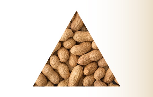 Hay cuatro tipos básicos de cacahuates y cada uno es distinto en tamaño, color, sabor y composición nutricional.
