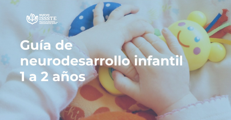 Guía práctica de neurodesarrollo infantil (1 A 2 años)