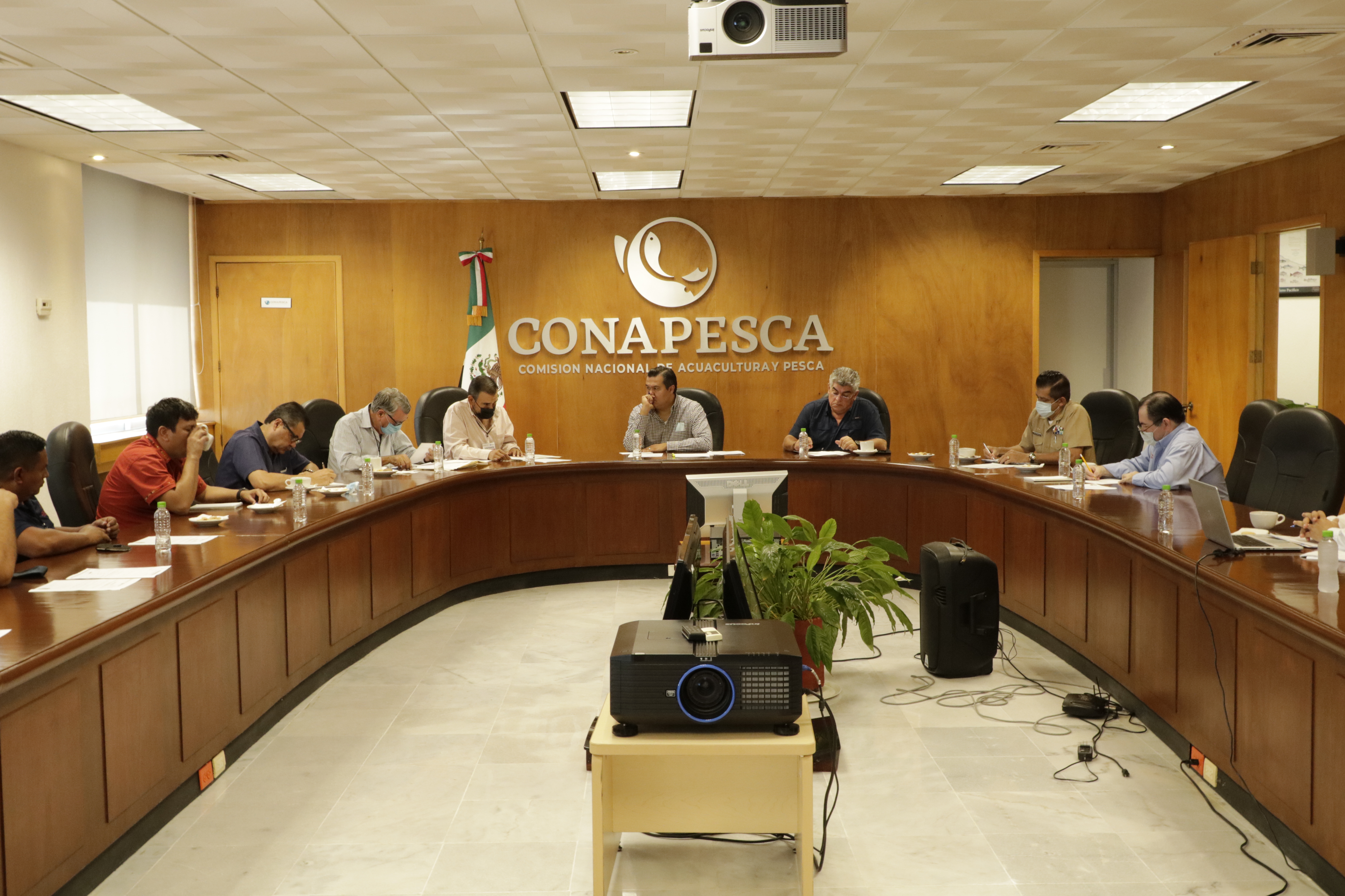 Recibe Conapesca recomendaciones y apoyo solidario de armadores para obtener la recertificación del camarón mexicano de altamar