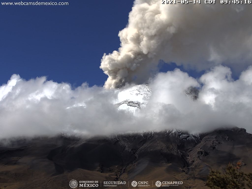En las últimas 24 horas, mediante los sistemas de monitoreo del volcán Popocatépetl se identificaron 53 exhalaciones, acompañados de gases volcánicos y ligeras cantidades de ceniza. 