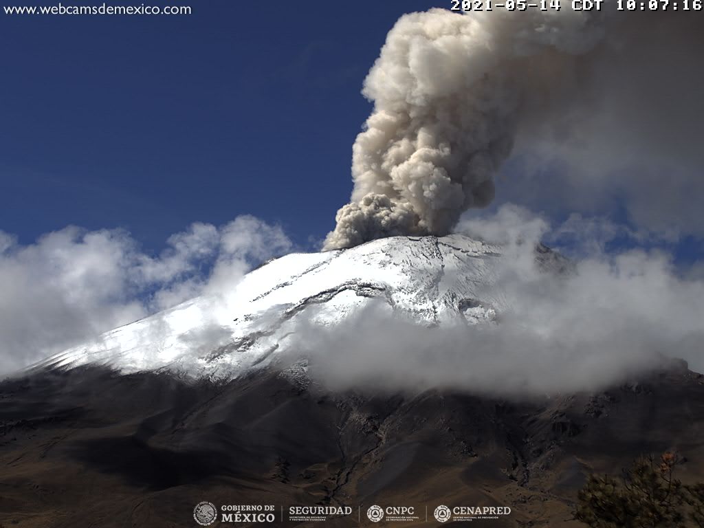 En las últimas 24 horas, mediante los sistemas de monitoreo del volcán Popocatépetl se identificaron 29 exhalaciones y 201 minutos de tremor, acompañados por emisiones de vapor de agua, gases volcánicos y ligeras cantidades de ceniza.