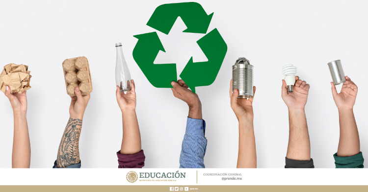 Acciones fáciles y sencillas para reciclar en casa | Dirección General | Gobierno | gob.mx