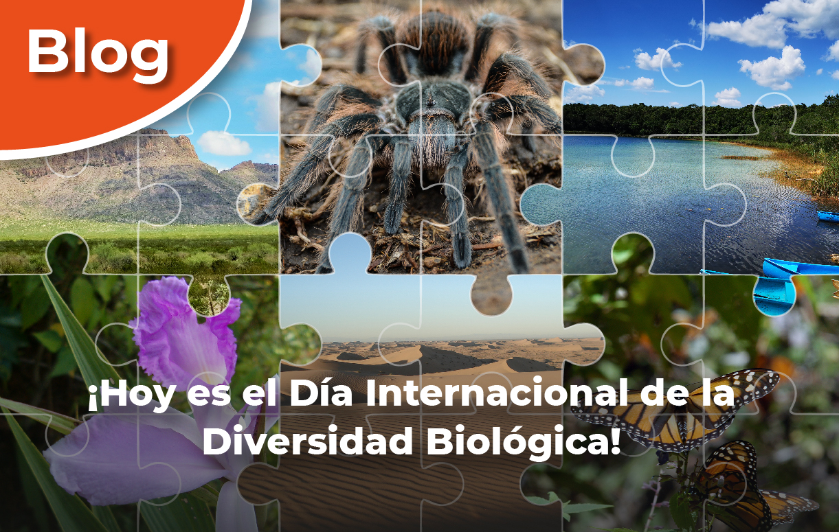 ¡Hoy es el Día Internacional de la Diversidad Biológica!