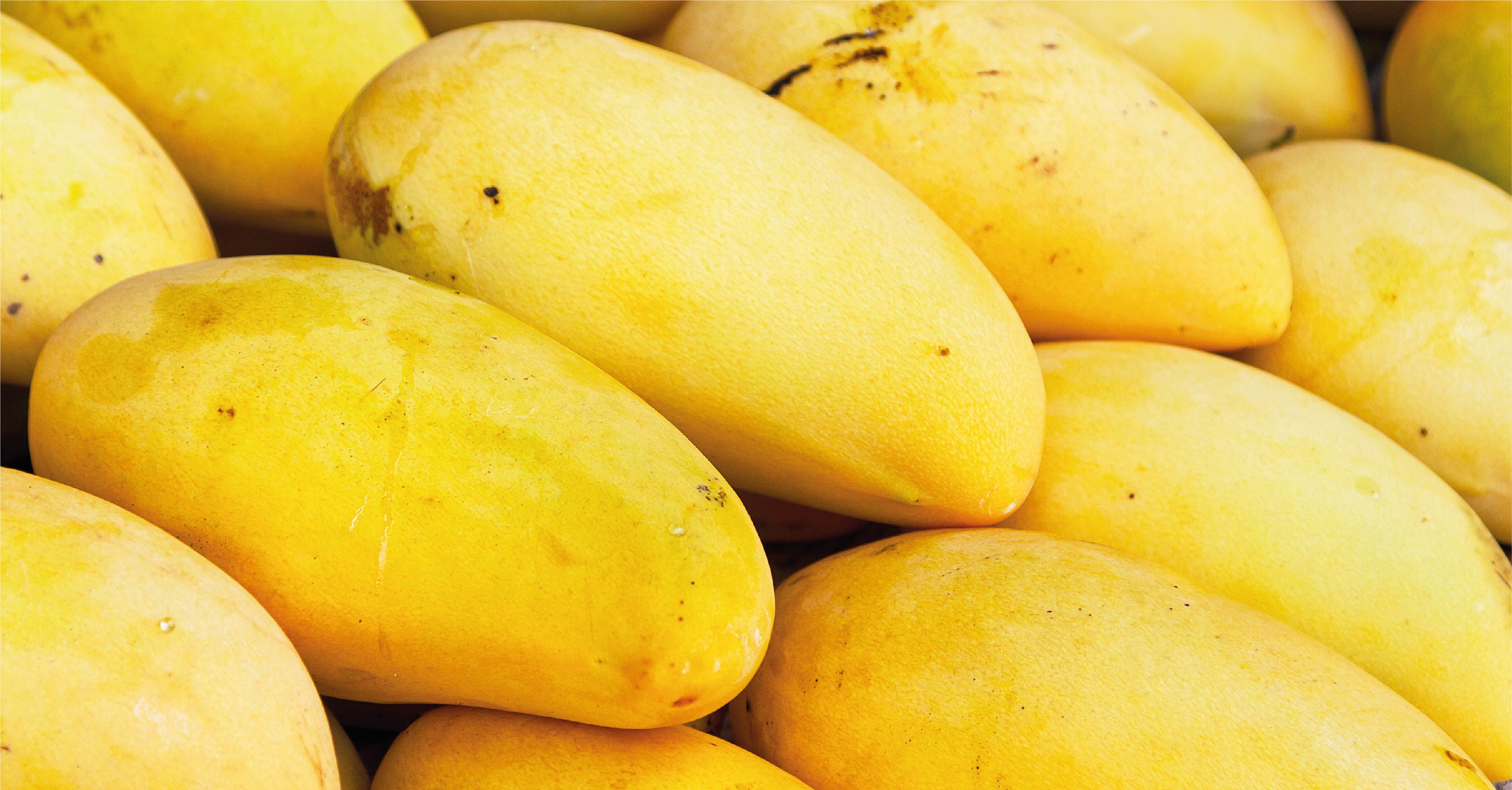 Consume mango esta temporada
