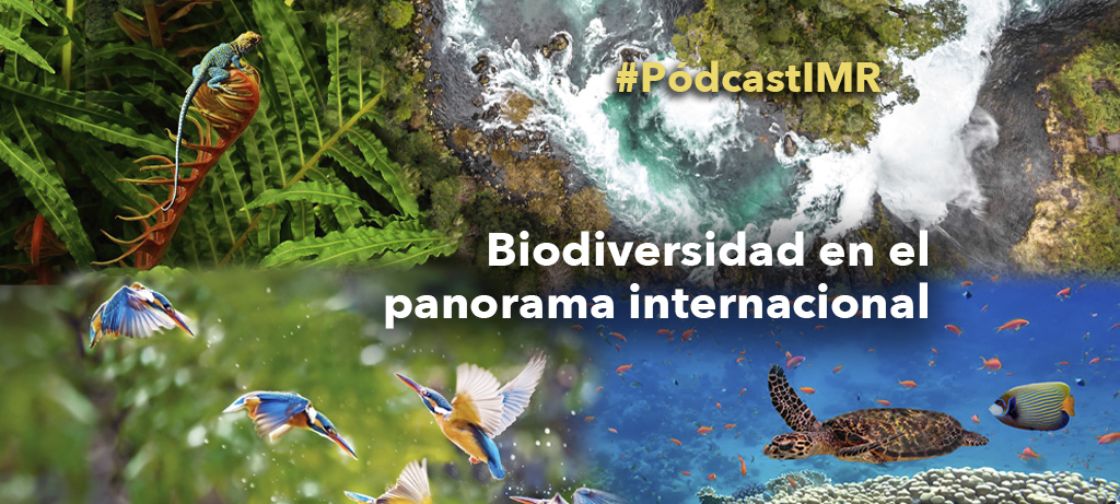 Pódcast "Biodiversidad en el panorama internacional"