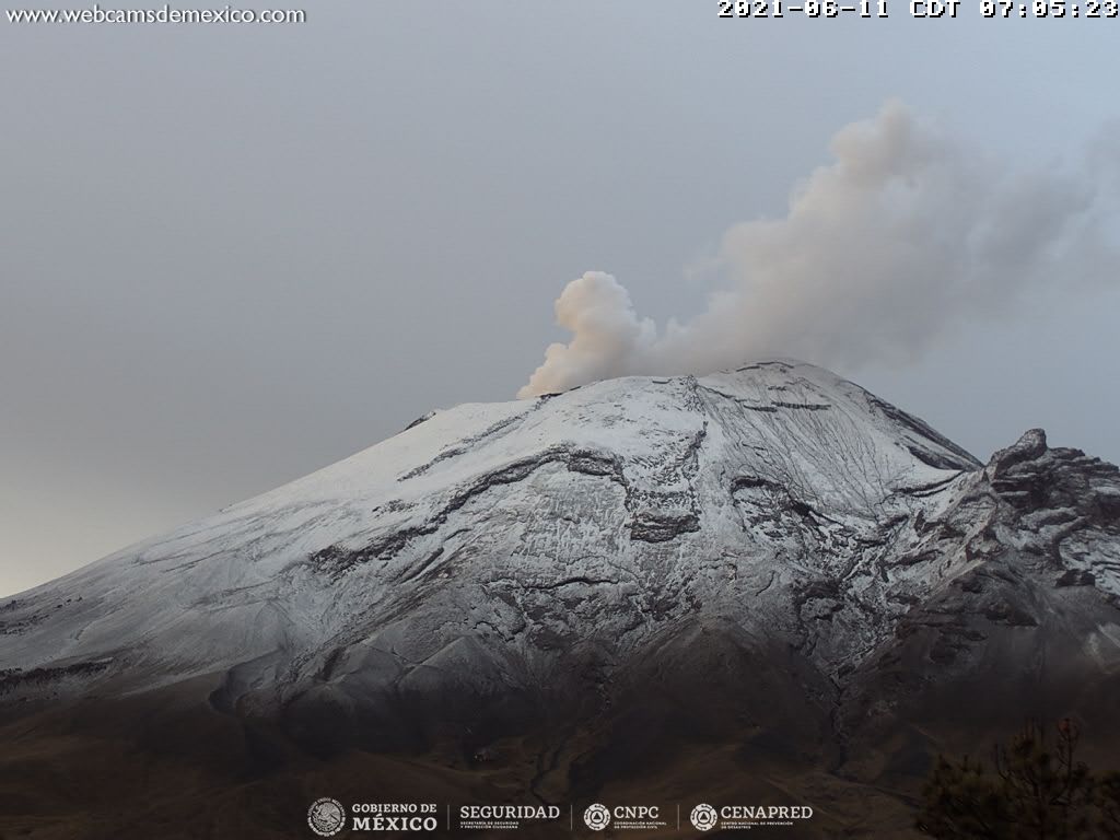 En las últimas 24 horas, mediante los sistemas de monitoreo del volcán Popocatépetl se identificaron 64 exhalaciones, acompañadas de gases volcánicos y ligeras cantidades de ceniza. 