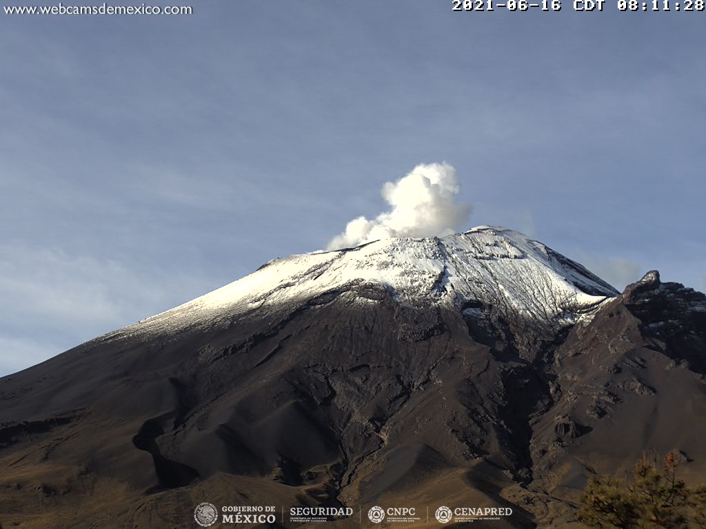 En las últimas 24 horas, mediante los sistemas de monitoreo del volcán Popocatépetl se identificaron 55 exhalaciones.