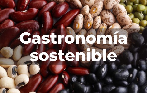 Gastronomía sostenible