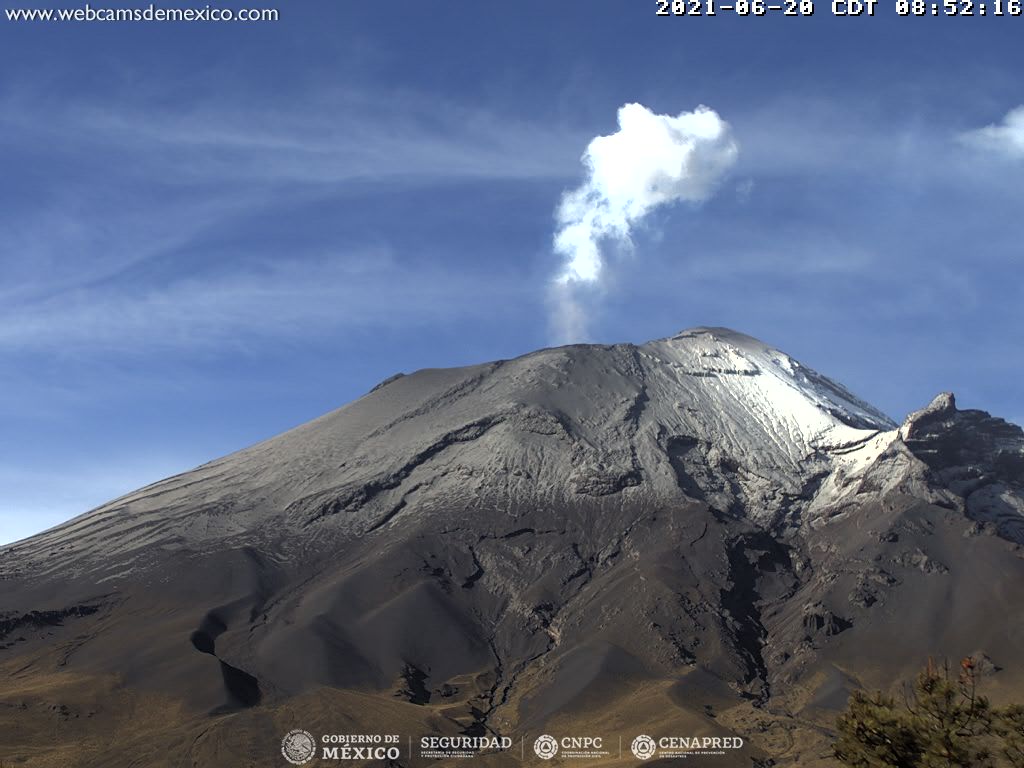 En las últimas 24 horas, mediante los sistemas de monitoreo del volcán Popocatépetl se identificaron 19 exhalaciones y 75 minutos de tremor de baja amplitud, en ocasiones son acompañados de emisiones de gases volcánicos y ligeras cantidades de ceniza.
