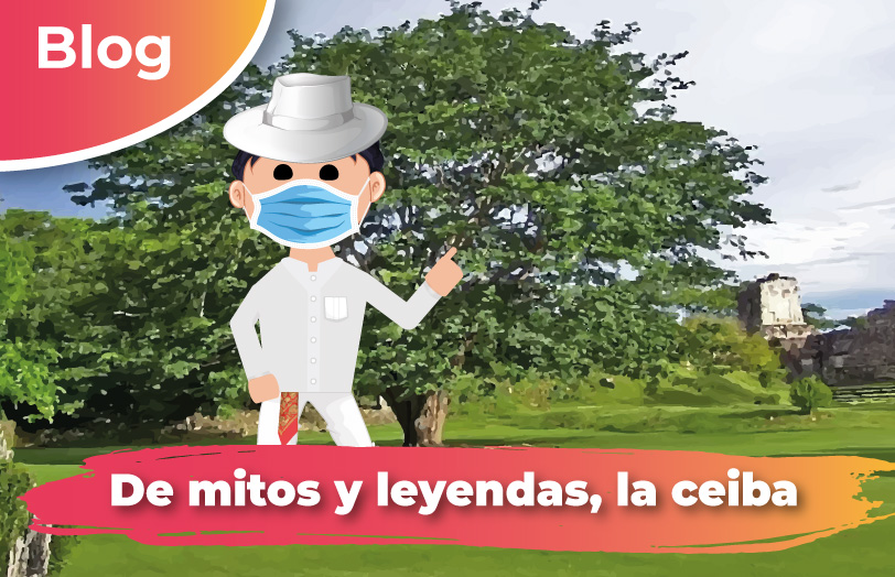 De mitos y leyendas, la ceiba | Comisión Nacional de Áreas Naturales  Protegidas | Gobierno | gob.mx