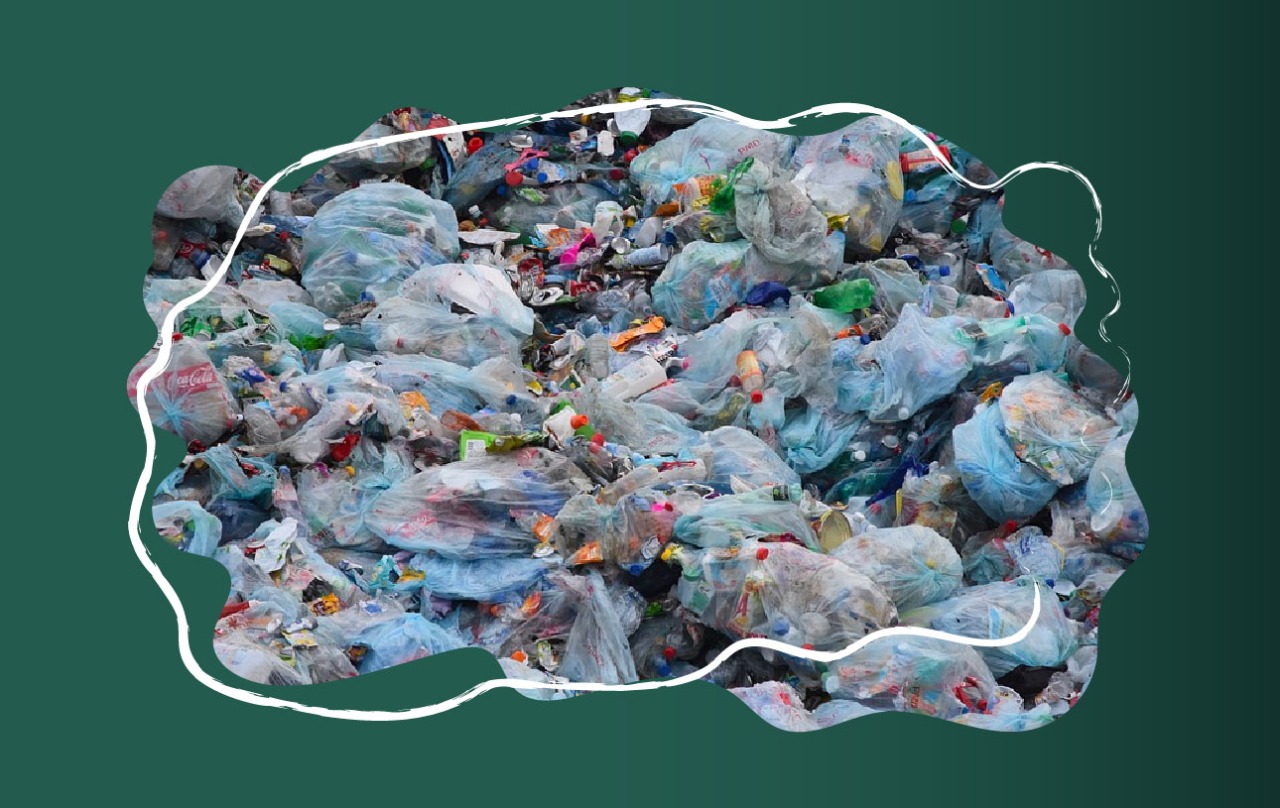 Si bien el plástico de las bolsas es liviano, económico, duradero y versátil, su costo ambiental es muy elevado. 