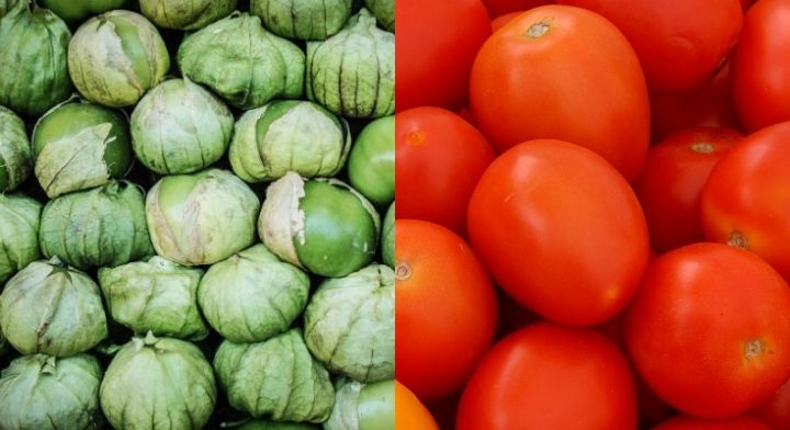 El tomate verde es originario de México y el jitomate (tomate rojo), aunque no se tiene muy claro, nuestro país es el centro de domesticación 
