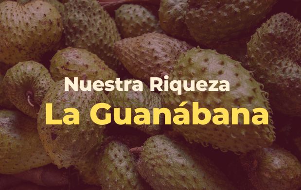 Guanábana