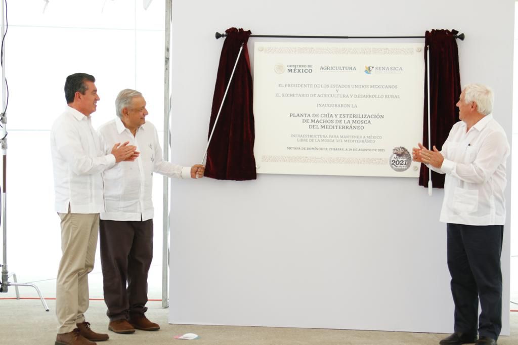 Inauguración de planta de cría y esterilización de machos de la mosca Mediterráneo, en Metapa, Chiapas