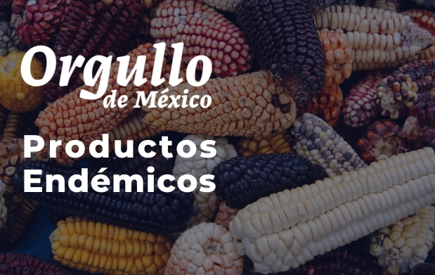 Productos Endémicos de México
