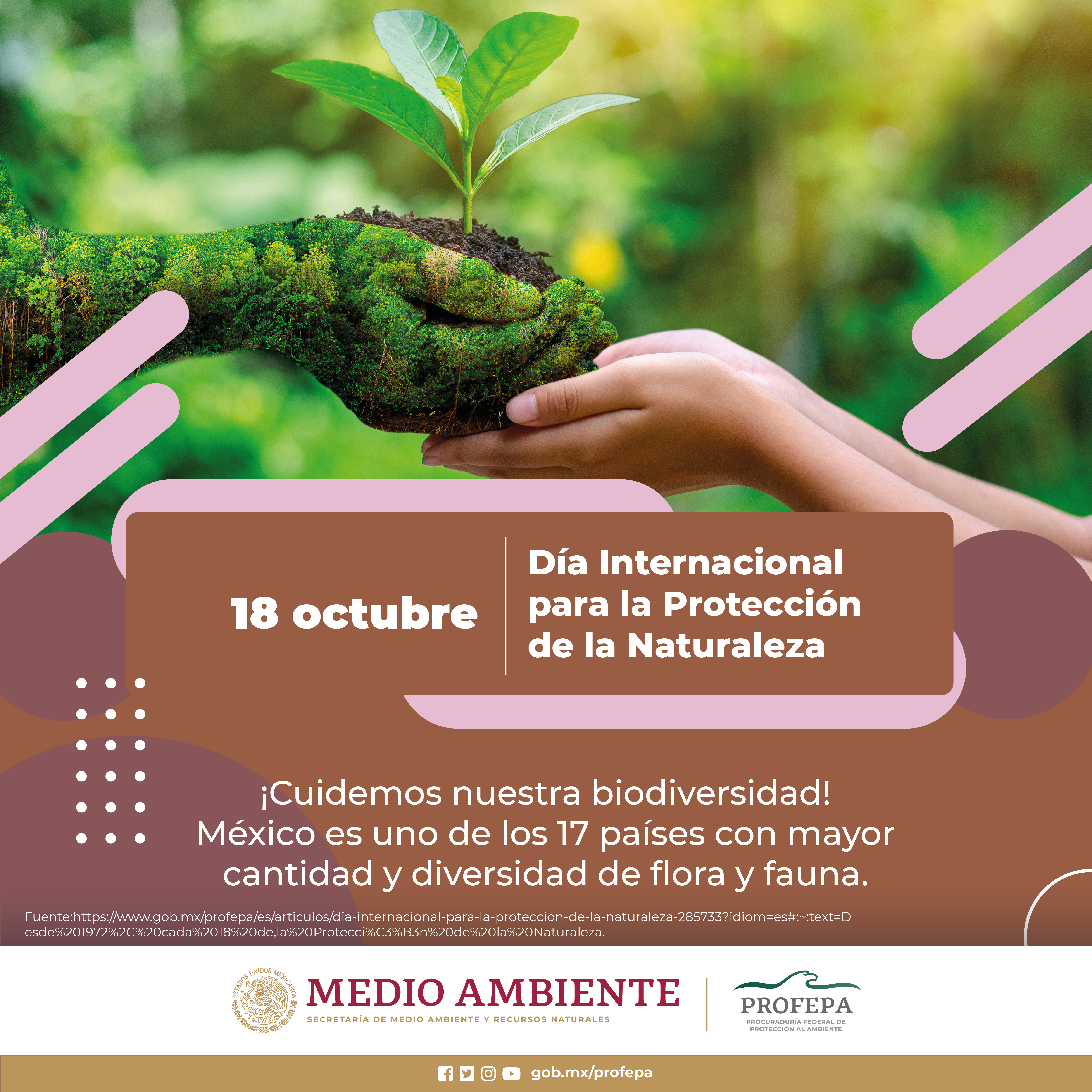 Día Internacional para la Protección de la Naturaleza