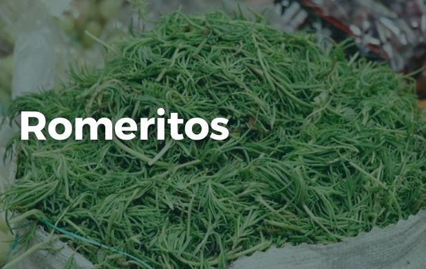 Romeritos 