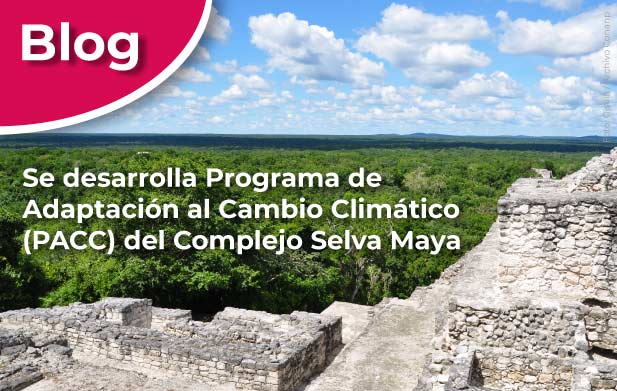 Se desarrolla Programa de Adaptación al Cambio Climático (PACC) del Complejo Selva Maya.