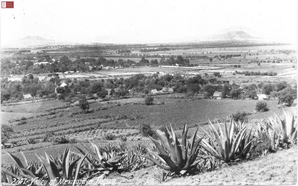 Vista panorámica del Valle de México desde Tlalpan. AGN, Colección Fotográfica Propiedad Artística y Literaria, CBW/ Tlalpan DF/ 2, Caja 33, PAL/6148.