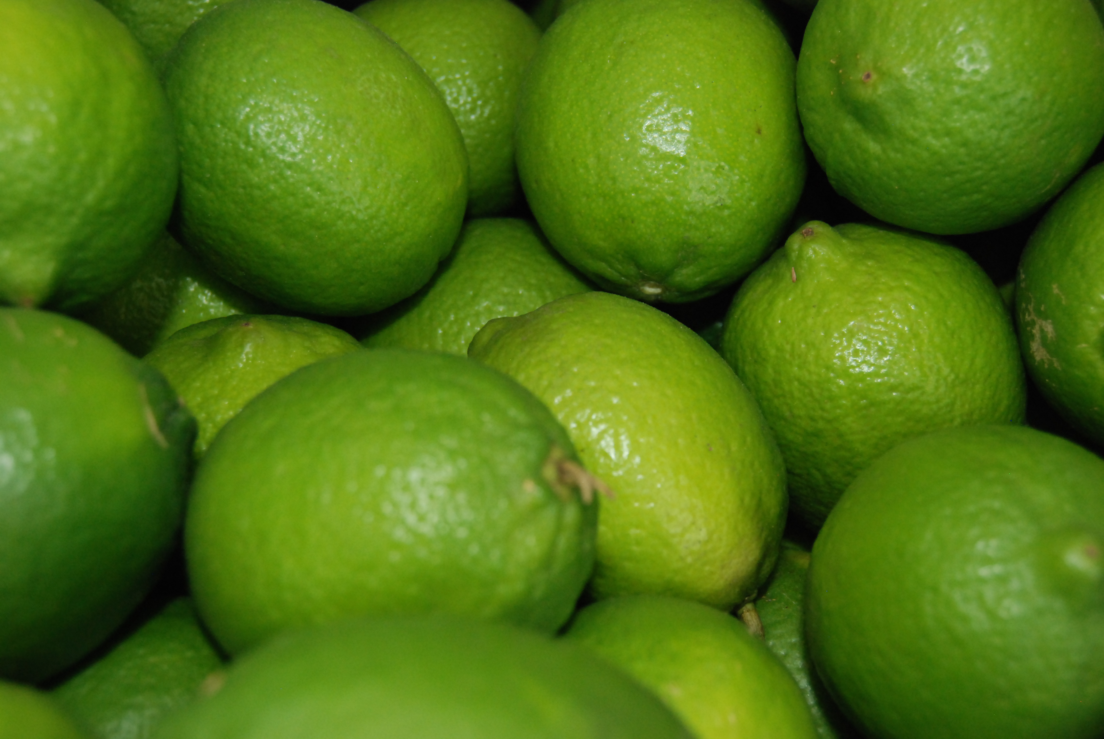 Producción de limón en México, en ascenso; ventana estacional es impactada por mayor demanda y contingencias climatológicas