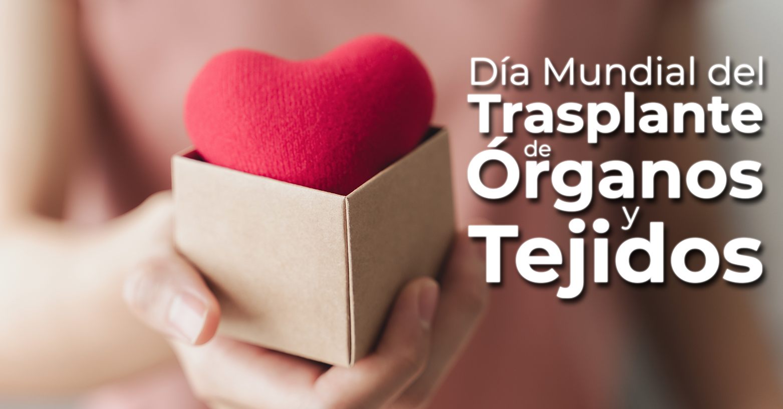 27 de Febrero | Día Mundial del Trasplante de Órganos y Tejidos