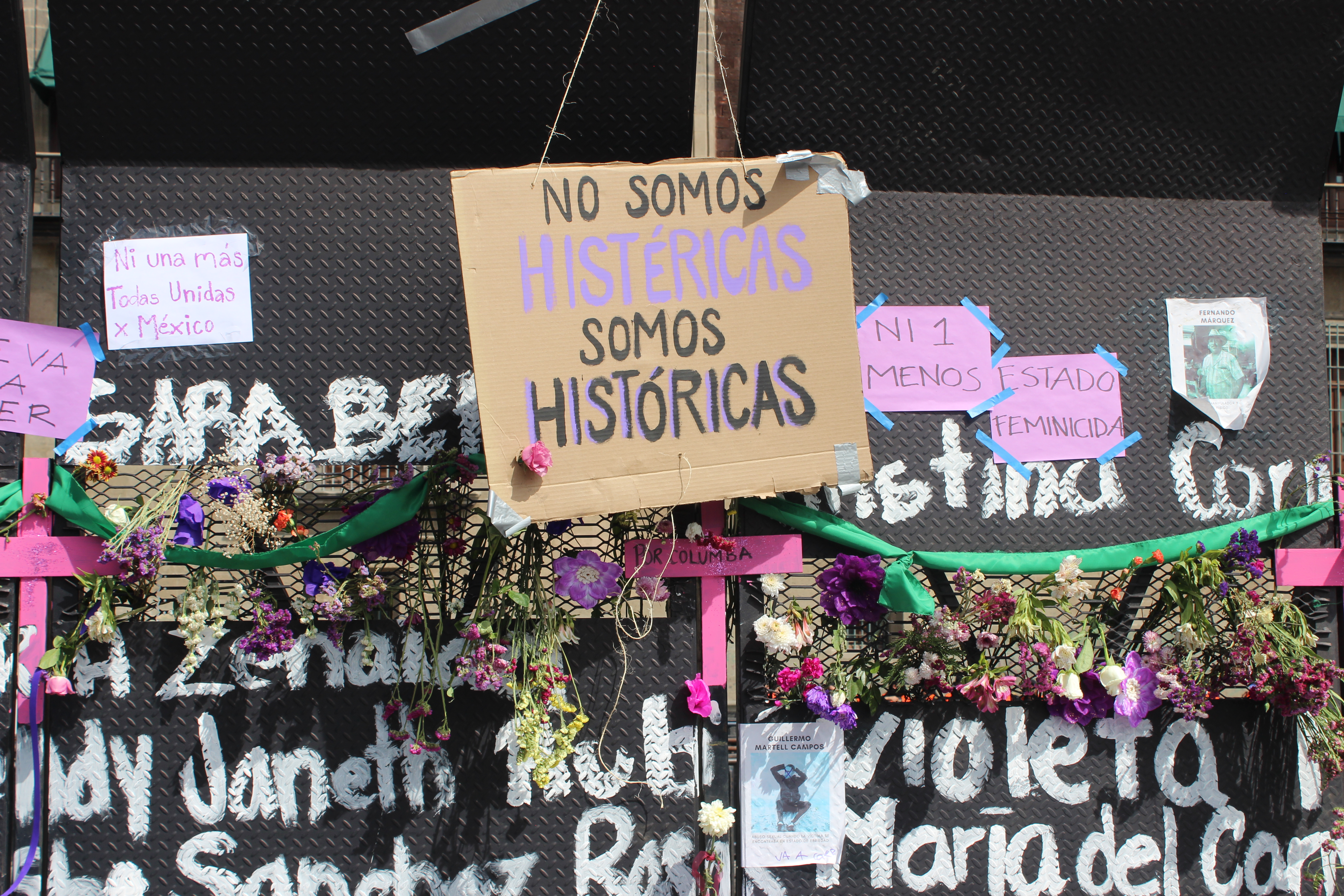 Fotografía con un cartel que dice "No somos histéricas, somos históricas". Entre flores. 