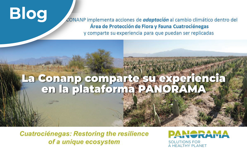 La Conanp comparte su experiencia en la plataforma PANORAMA.