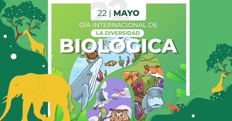 Día Internacional de la Diversidad Biológica | 22 de mayo