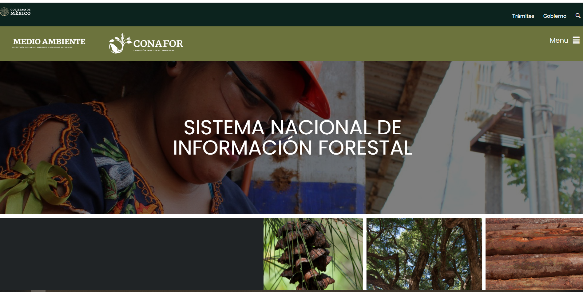 Sistema Nacional de Información del SNIF