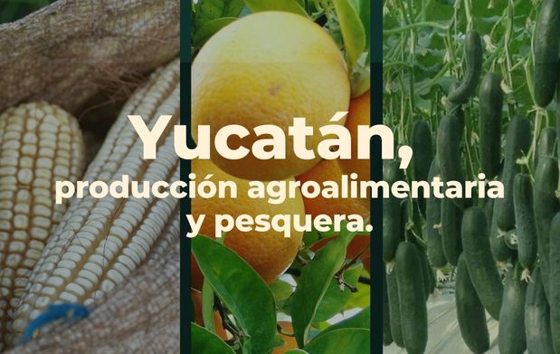 Producción agropecuaria y pesquera del estado de Yucatán 
